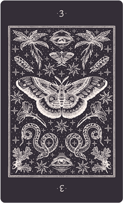 tarot